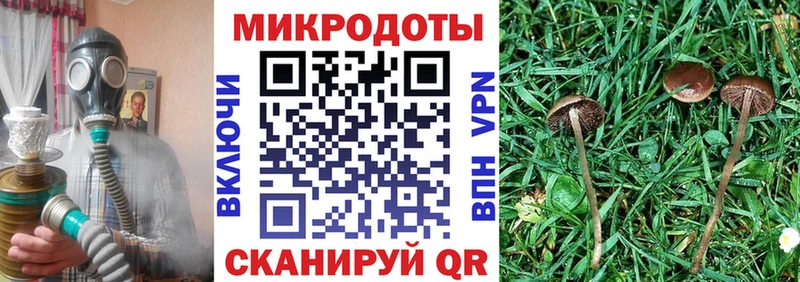 Псилоцибиновые грибы прущие грибы  Купить закладки  Сибай 